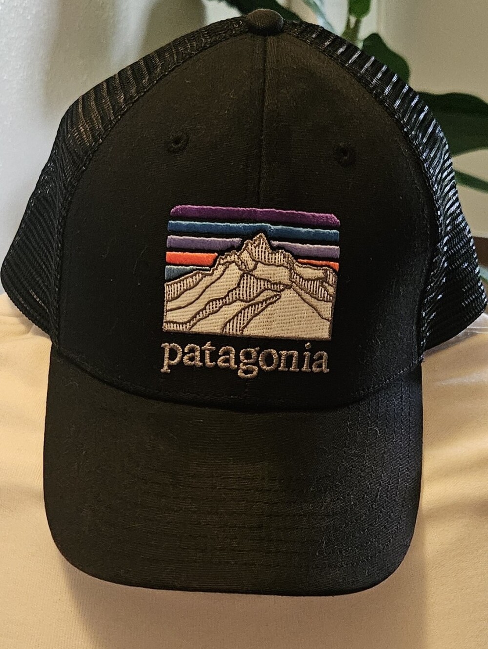 Patagonia Fitz Roy Trout LoPro Trucker Hat Black Mesh Snapback Cap Mountain